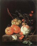 still life of fruit Jan Davidz de Heem